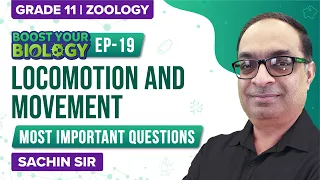 Locomotion and Movement Class 11 (Ep - 19) | NEET Most Important Questions | NEET Exam Preparations