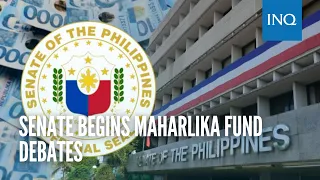 Senate begins Maharlika fund debates