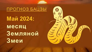 Прогноз Бацзы на май 2024