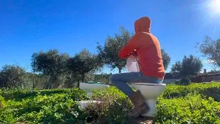 NEW Community Toilet - Portugal DIY Home Renovation