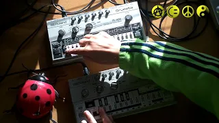 Roland TB 303 Bass Line with TR 606 Acid House Demo