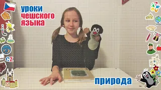 Уроки чешского языка для детей. Природа