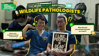 #AskMandaiAnything - Which dead animal is the toughest to dissect?