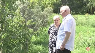 Супружеская пара пенсионеров из Ревды превратила свой двор в цветущий сад