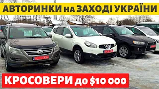 КРОСОВЕРИ до $10 000 на АВТОРИНКАХ на ЗАХОДІ УКРАЇНИ