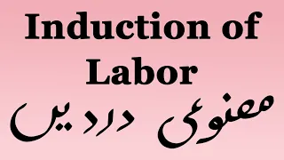 Induction of labor (Urdu/Hindi)