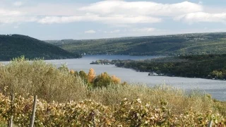 The Finger Lakes Wine Region: Cooperation and Innovation