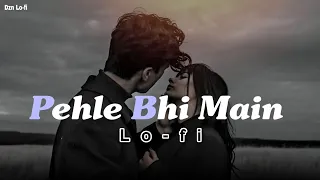 Pehle Bhi Main (Slowed + Reverb) | Vishal Mishra | Animal | Dzn Lo-fi