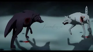 Волчий дождь (Последний волк)
