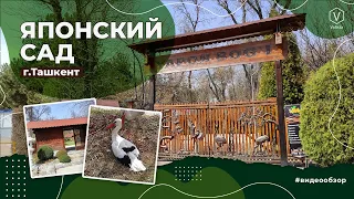 Японский сад/Ташкент/The Japanese Garden in Tashkent