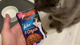 Сорвавшаяся дегустация корма для кошек Felix Sensation говядина с томатами в соуса