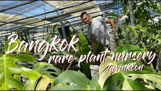 An Ambitious And Passionate RARE Aroids Nursery @vaikoon in Bangkok Thailand