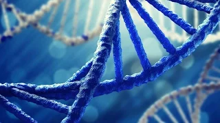 DNA Science - Human Race and Genetics Documentary