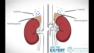 Ask The Expert -Truth About Adrenal Fatigue