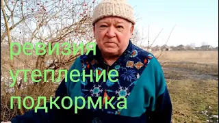 Итоги зимовки.Работы с пчелами в марте.Кормить или не кормить семьи.