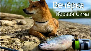 Вечёрка | Первая сима | Сахалин