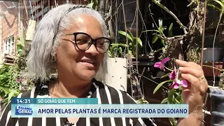 SÓ GOIÁS QUE TEM: AMOR PELAS PLANTAS É MARCA REGISTRADA DO GOIANO