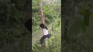 Tree climbing by 7year old girl#shortsfeed#short#shorts#vlogs