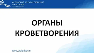 Органы кроветворения. гистологические препараты