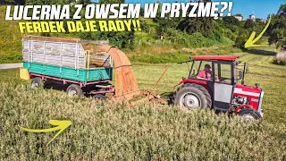 VLOGAS#34 Akcja Orkan!🔥Lucerna z Owsem🍀Ferdek daje radę?🚜 Dlaczego w Pryzmę??!!