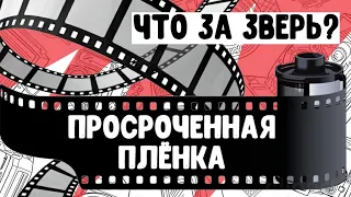 Просроченная фотопленка-что за зверь?! Тест в реальных условиях