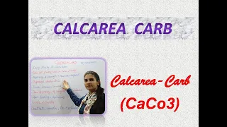 Calcarea Carb Part-1 Drug Picture/ Homeopathic Medicine/ Easy Understanding!!!!