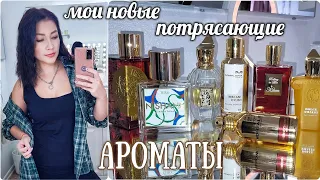 АРОМАТЫ💥НОВИНКИ!!🔝Парфюмерный Шкаф #косметика #парфюмерия #парфюм #ароматы #духи люкс/ниша