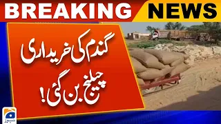 Procurement of wheat at official rate became a challenge - Geo News