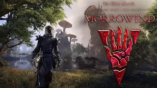 TESO - Обзор Morrowind