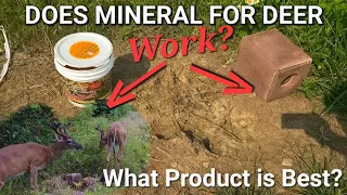 Do Minerals make Healthy Deer?