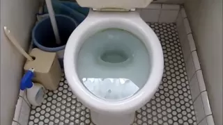 トイレから水がちょっと溢れた、そしてラバーカップを使った (An overflowing toilet)