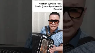 Чудная Долина - Mr.Credo ( cover by Alexandr Passar) #чуднаядолина #каверподбаян #2002 #баян