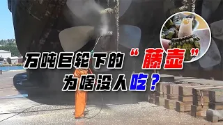 让美军闻风丧胆的“藤壶”，为啥像垃圾一样扔掉？