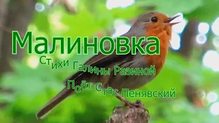 Малиновка, стихи Галины Разиной, поёт Стас Пенявский