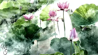 Canon in D Major | Pachelbel's Canon | 2 hours loop | Relaxing Music