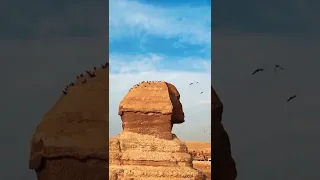 Amazing Sphinx in Giza Egypt #shorts #youtubeshorts #shortsvideo #egypt #travel #landmark #wonderful