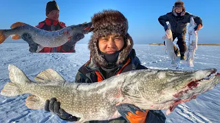 Самые большие Щуки в мире! Щука не Лезет в лунку! Якутия в Казахстане! Трофейный день Щуки!