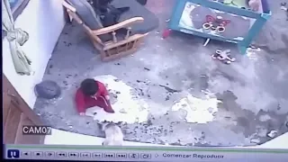 Cat Saves Toddler From Falling Down Stairs