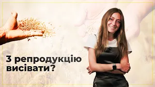 ЧИ МОЖНА СІЯТИ СВОЮ ПШЕНИЦЮ?