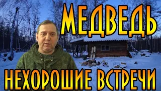 Медведь. Нехорошие встречи. . Рассказы о встречах с медведем из жизни.