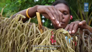 Saving Kimbe Bay's coral reefs through seaweed farming