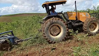 gradeando a terra para mais um plantio de brachiaria decumbes