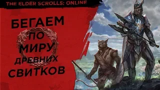 Просто играем в The Elder Scrolls Online