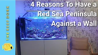 4 Reasons You SHOULD Get A Red Sea Peninsula Against A Wall