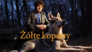 Zenon Śliżewski w utworze "Żółte koperty"