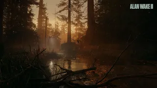 Alan Wake 2™ | 🏍️Sauna y los hermanos Koskela🦌 | 4K 60fps HDR XSX