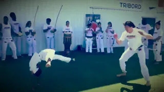 Capoeira Mst Decathlon