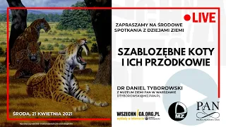 Szablozębne koty i ich przodkowie  / Dr Daniel Tyborowski