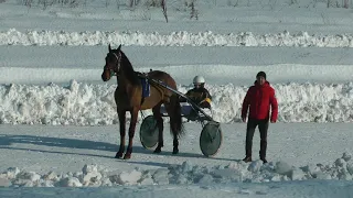 06.02.2021 г. 3-й заезд Приз имени Прилепского к/з