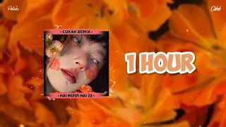 Hai Mươi Hai (22) Speed up - 1 Hour x  AMEE x Hứa Kim Tuyền x Cukak Remix / Alan Music